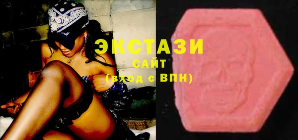 ECSTASY Гусь-Хрустальный