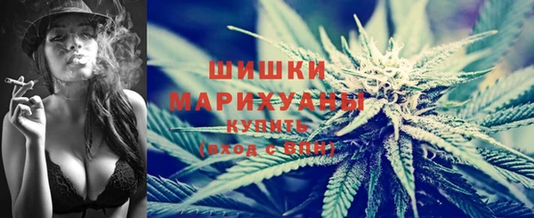 ECSTASY Гусь-Хрустальный