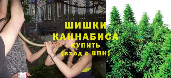 mix Гатчина