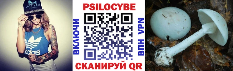 Псилоцибиновые грибы Magic Shrooms магазин продажи Закаменск